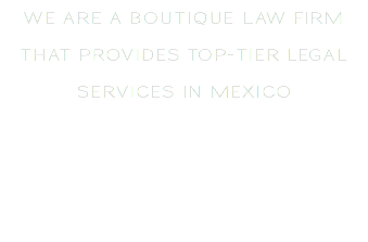WE ARE A BOUTIQUE LAW FIRM THAT PROVIDES TOP-TIER LEGAL SERVICES IN MEXICO