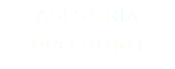 ASESORÍA  PRO BONO
